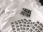 Trial Section